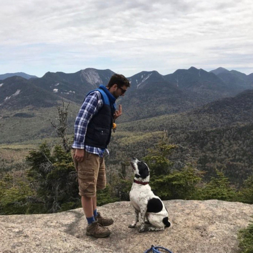 Dog in Mountains