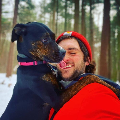 Pitbull hound mix In Snow Mountain