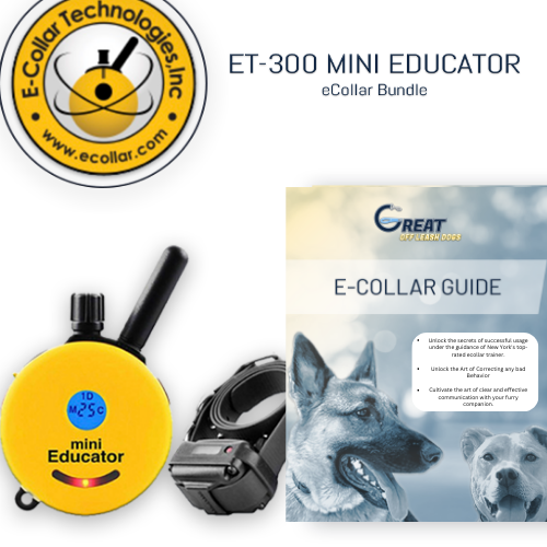 ET-300 Mini Educator E-Collar