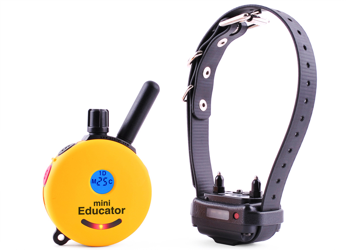 ET-300 Mini Educator E-Collar